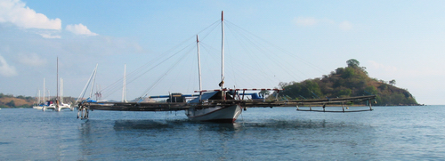 Squid boat trimaran in Riung - click for full size